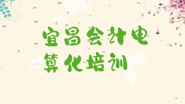 宜昌会计电算化培训学校