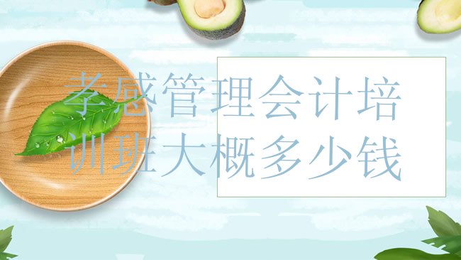 十大孝感管理会计培训班大概多少钱排行榜