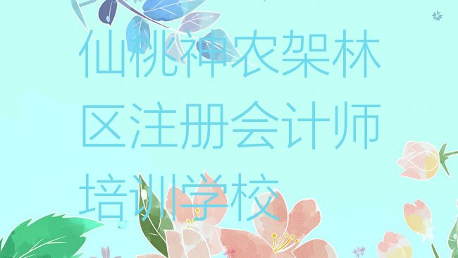 十大仙桃神农架林区注册会计师培训班相关推荐理由排行榜