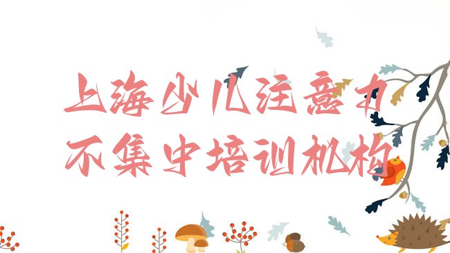 上海少儿注意力不集中培训机构