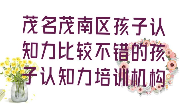 十大茂名茂南区孩子认知力比较不错的孩子认知力培训机构排行榜