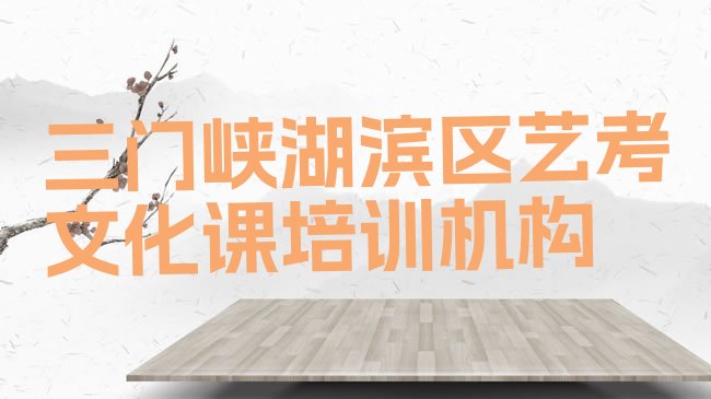 三门峡湖滨区艺考文化课培训机构