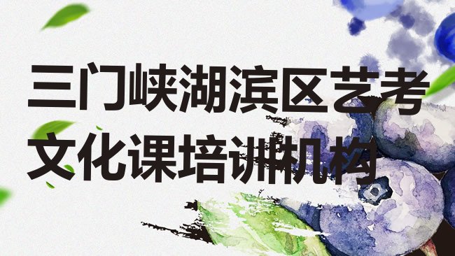 艺考文化课