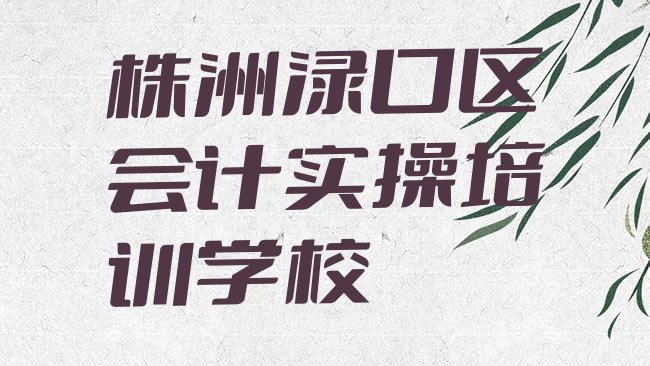 株洲渌口区会计实操培训学校