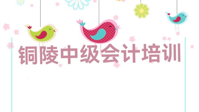 十大铜陵郊区中级会计培训哪家好一点儿的排行榜