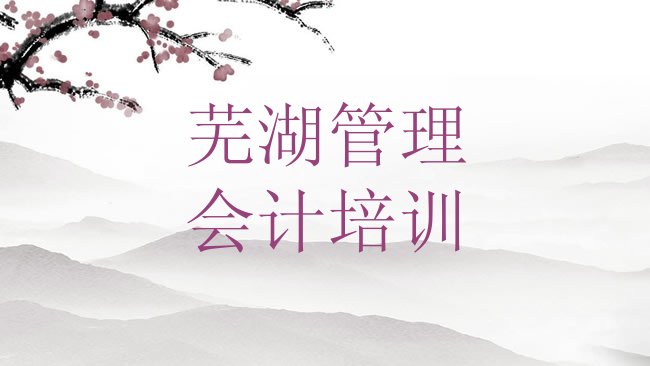 十大非常有名的芜湖管理会计培训机构排行榜