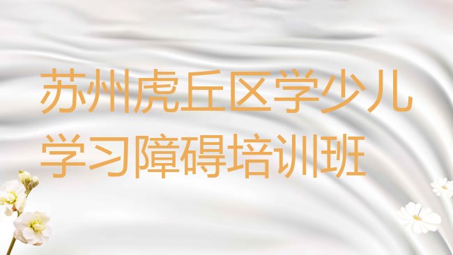 苏州虎丘区少儿学习障碍培训机构