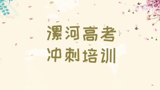 漯河召陵区艺考文化课培训机构