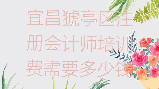宜昌注册会计师培训学校