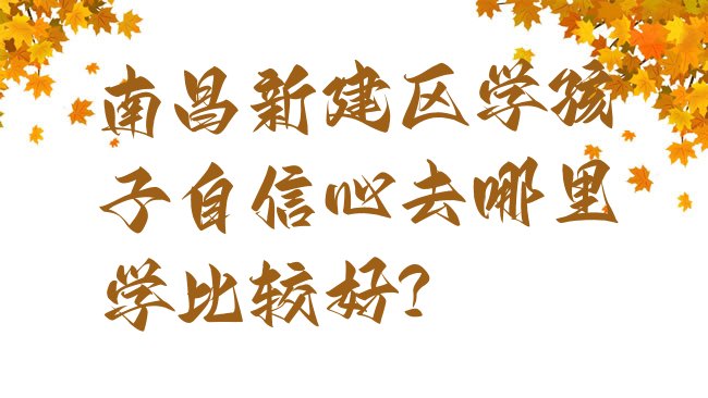 十大南昌新建区学孩子自信心去哪里学比较好?排行榜