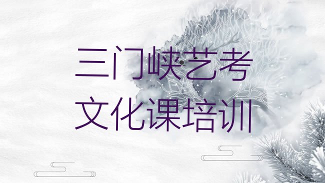 三门峡艺考文化课培训机构