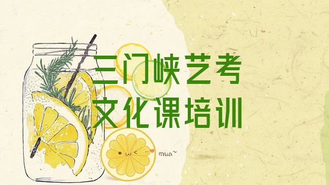 艺考文化课