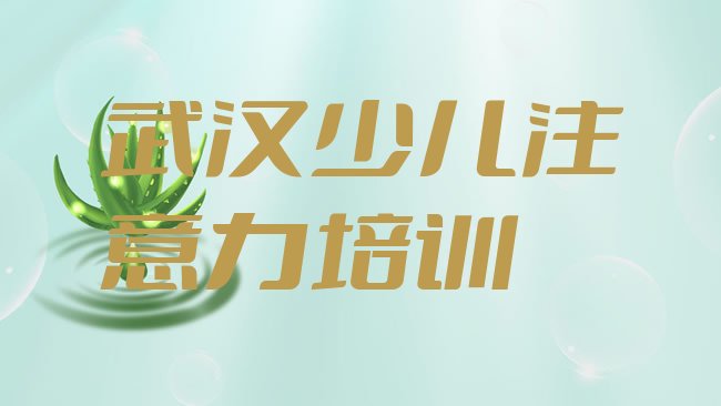 武汉儿童专注力训练培训机构