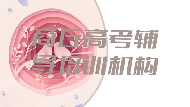 高考辅导