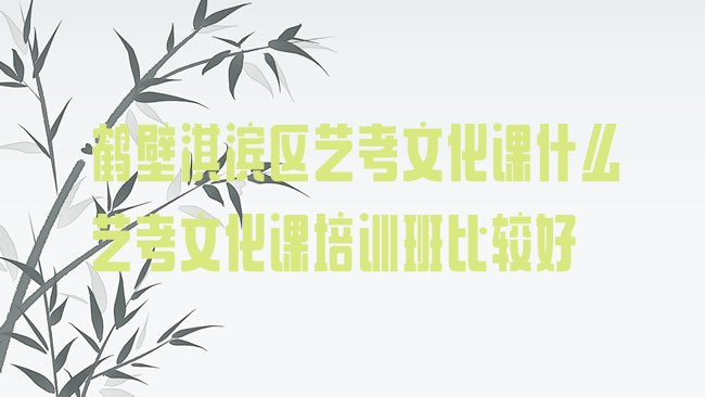 十大鹤壁淇滨区艺考文化课什么艺考文化课培训班比较好排行榜