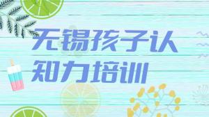 无锡孩子认知力培训机构