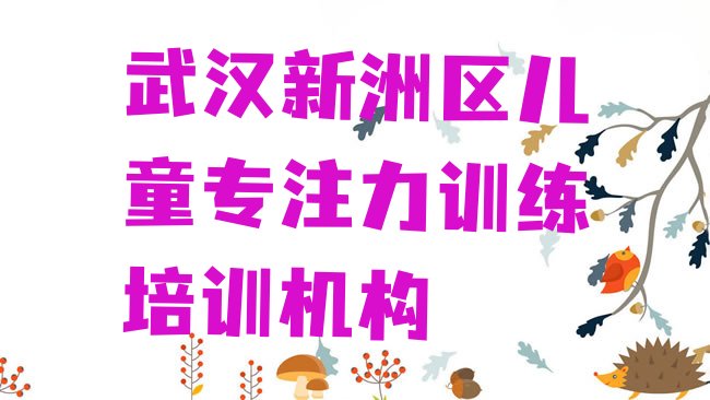 武汉新洲区儿童专注力训练培训机构