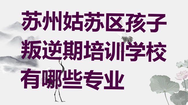 十大苏州姑苏区孩子叛逆期培训学校有哪些专业排行榜