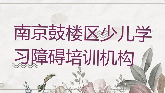 南京鼓楼区少儿学习障碍培训机构