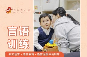 郑州【言语训练】社交语言-语言发育-语言迟缓评估规划
