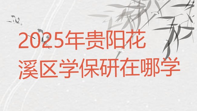 2025年贵阳花溪区学保研在哪学
