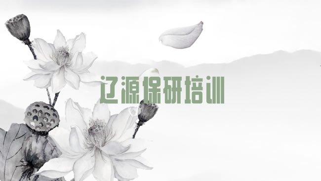 辽源西安区保研培训机构