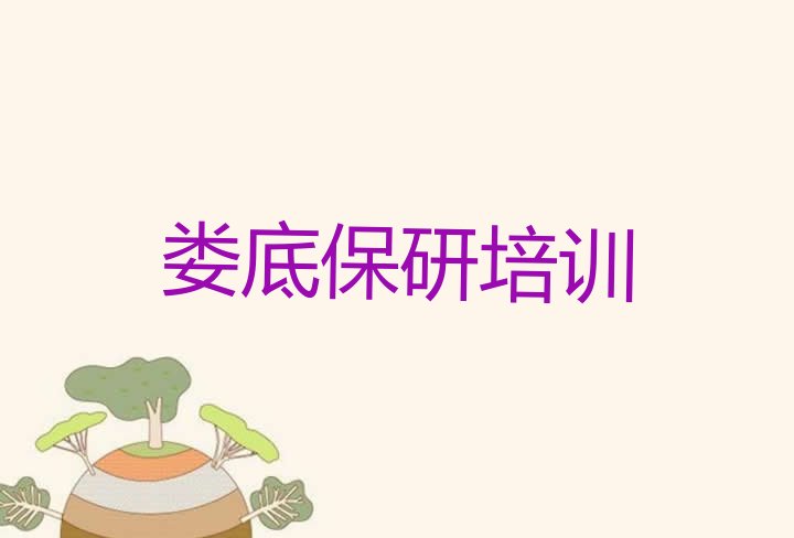 十大2025年11月娄底娄星区保研环境好的培训班推荐排行榜