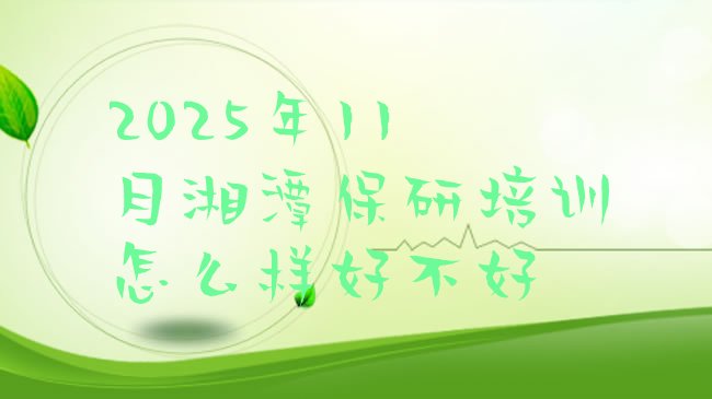 十大2025年11月湘潭保研培训怎么样好不好排行榜
