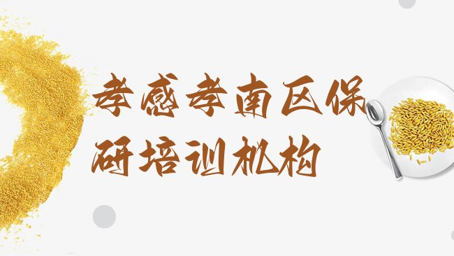 十大孝感孝南区保研培训班怎么样可靠吗排行榜