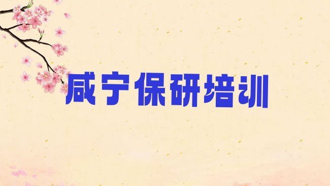 咸宁咸安区保研培训机构