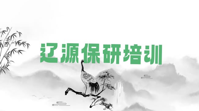 十大2025年辽源西安区保研培训机构排行榜