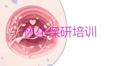 2025年怀化鹤城区哪里的保研培训班好