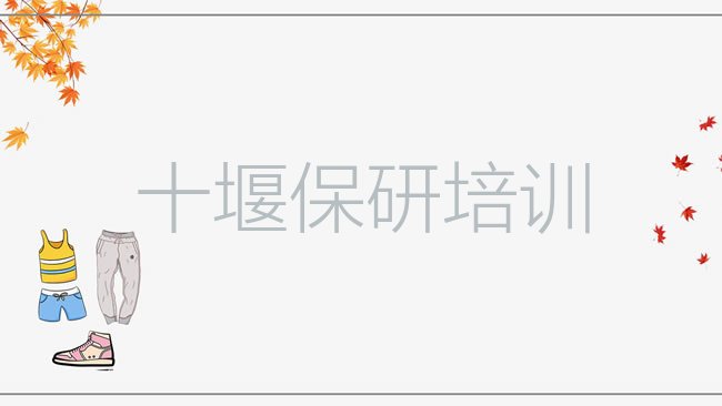 十大十堰张湾区保研培训机构选哪个比较好排行榜