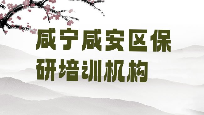 十大2025年11月咸宁保研培训机构排行榜