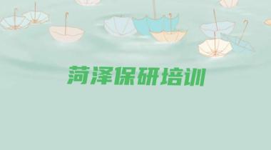 2025年菏泽定陶区短期保研培训班